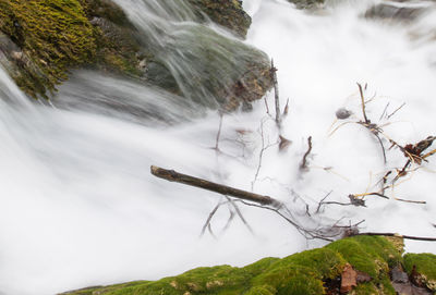 Close-up of waterfall against trees