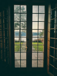 Trees seen through window