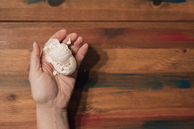 Cropped hand of person holding seashell on table