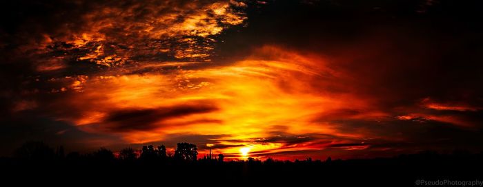 Silhouette trees against sky during sunset