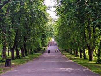 Rear view of people walking on footpath amidst trees in queen's park.