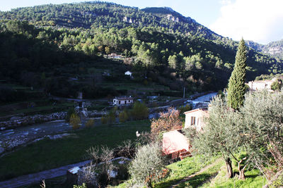 High angle view of trees and buildings against mountain