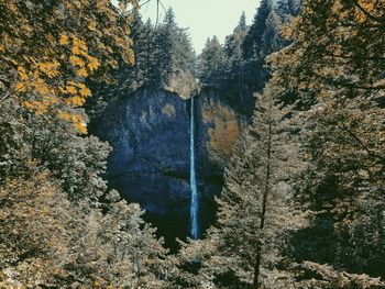 Wahkeena falls, oregon