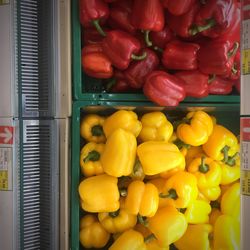 High angle view of bell peppers for sale at store