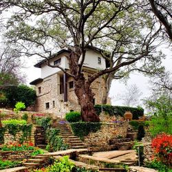 Built structure with trees in background