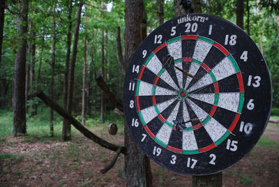 Close-up of dartboard on tree trunk in forest