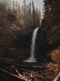 Scenic view of waterfall in forest