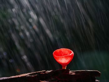 Close-up of water drops on red glass