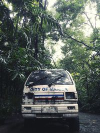 Information sign on old road amidst trees in forest