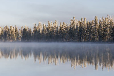 Reflection of trees in lake against sky
