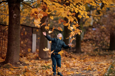 Baby walking, laughing, throwing leaves, autumn, yellow leaves, fly, fall, blue jacket, cute boy