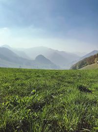 Scenic view of field against sky