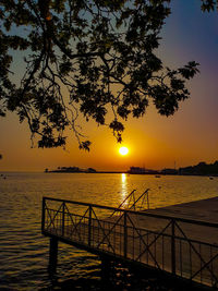 Silhouette tree by sea against sky during sunset