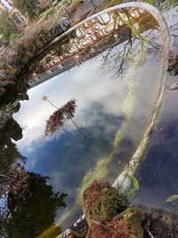 High angle view of trees reflection in lake