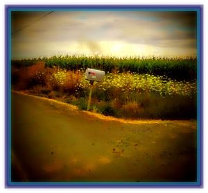 Scenic view of field against cloudy sky