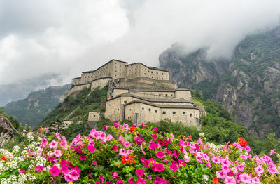 View of flowering plants and buildings against cloudy sky