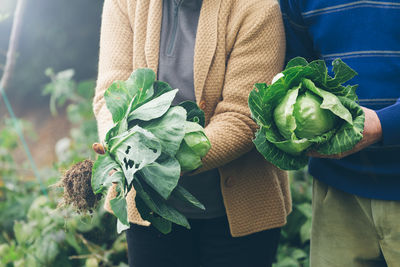 Close-up of hands holding vegetables