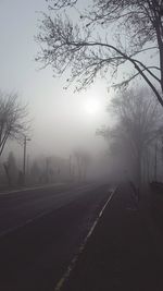 Road passing through forest