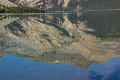 reflection