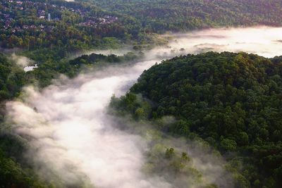 High angle view of trees on land against sky