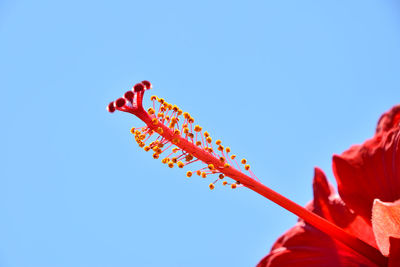 Low angle view of red flag against clear blue sky