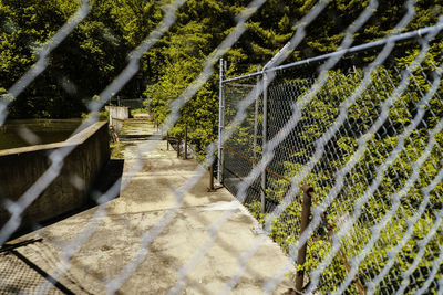 Close-up of chainlink fence