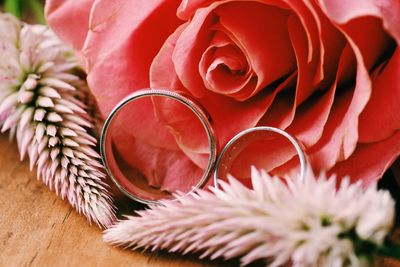 Close-up of red rose on table
