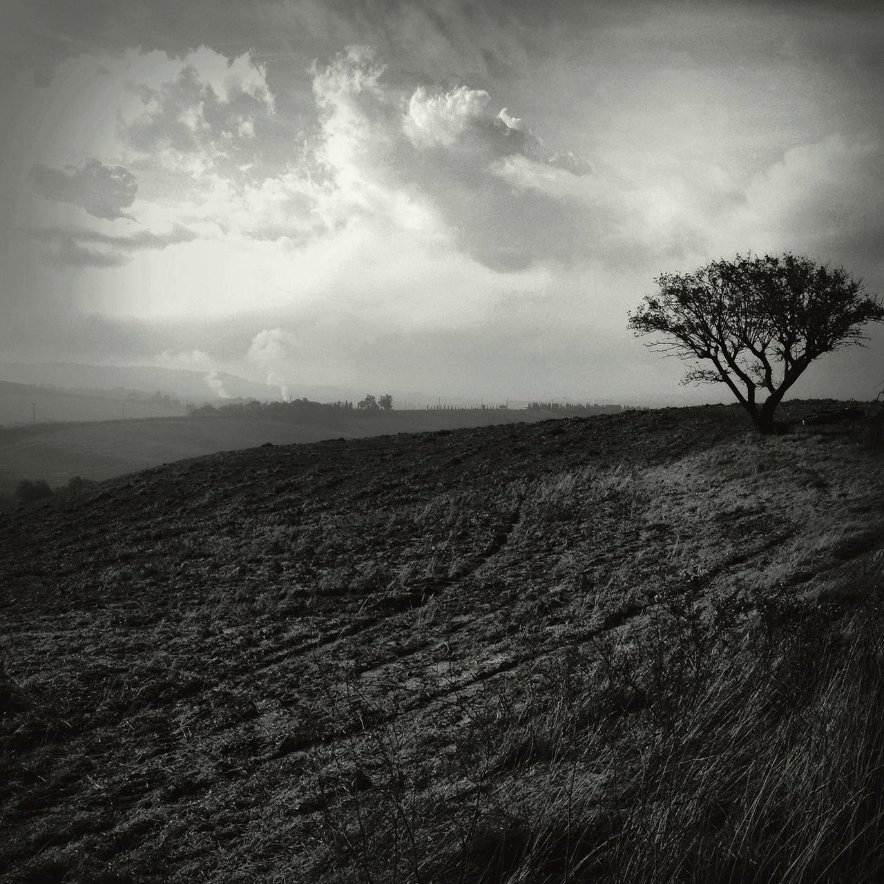 tranquil scene, tranquility, sky, landscape, scenics, sand, nature, beauty in nature, cloud - sky, field, cloud, beach, horizon over land, remote, non-urban scene, tree, idyllic, grass, solitude, day