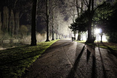 Road amidst trees in forest