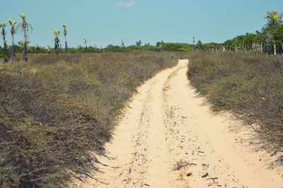 Dirt road amidst field against clear sky