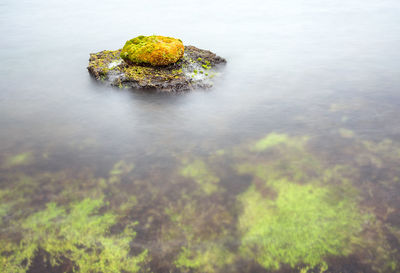 High angle view of rock in sea against sky