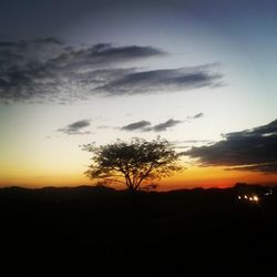 Silhouette of trees at sunset