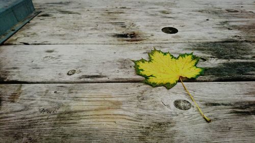 High angle view of yellow leaf on wood