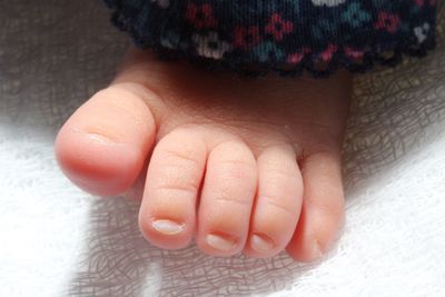 Low section of baby on bed