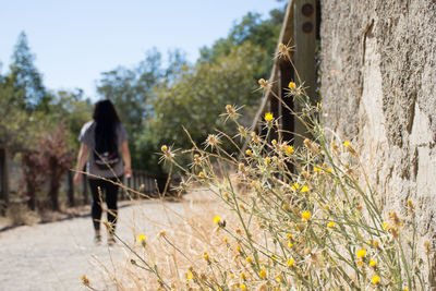Rear view of woman standing on tree trunk