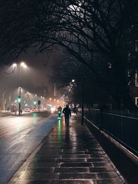 Rear view of people on illuminated street at night