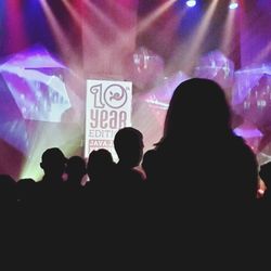 Rear view of people at concert