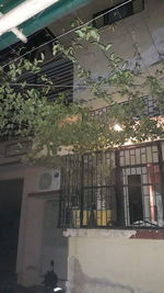 Exterior of building and trees seen through window