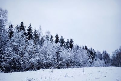 Trees on snow covered landscape against clear sky