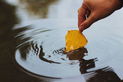 Close-up of person holding ice cream in water