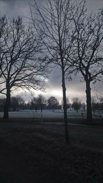 Bare trees on field against sky during sunset