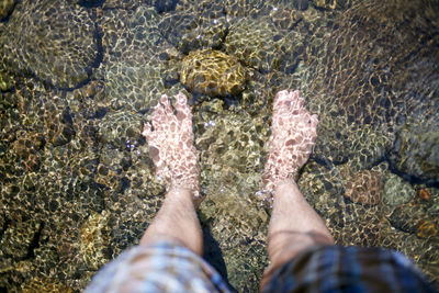 Low section of person legs in sea