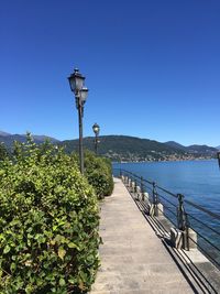 Street light by plants against clear blue sky