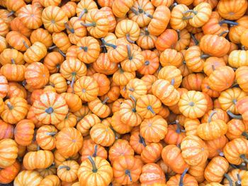 Full frame shot of pumpkins at market