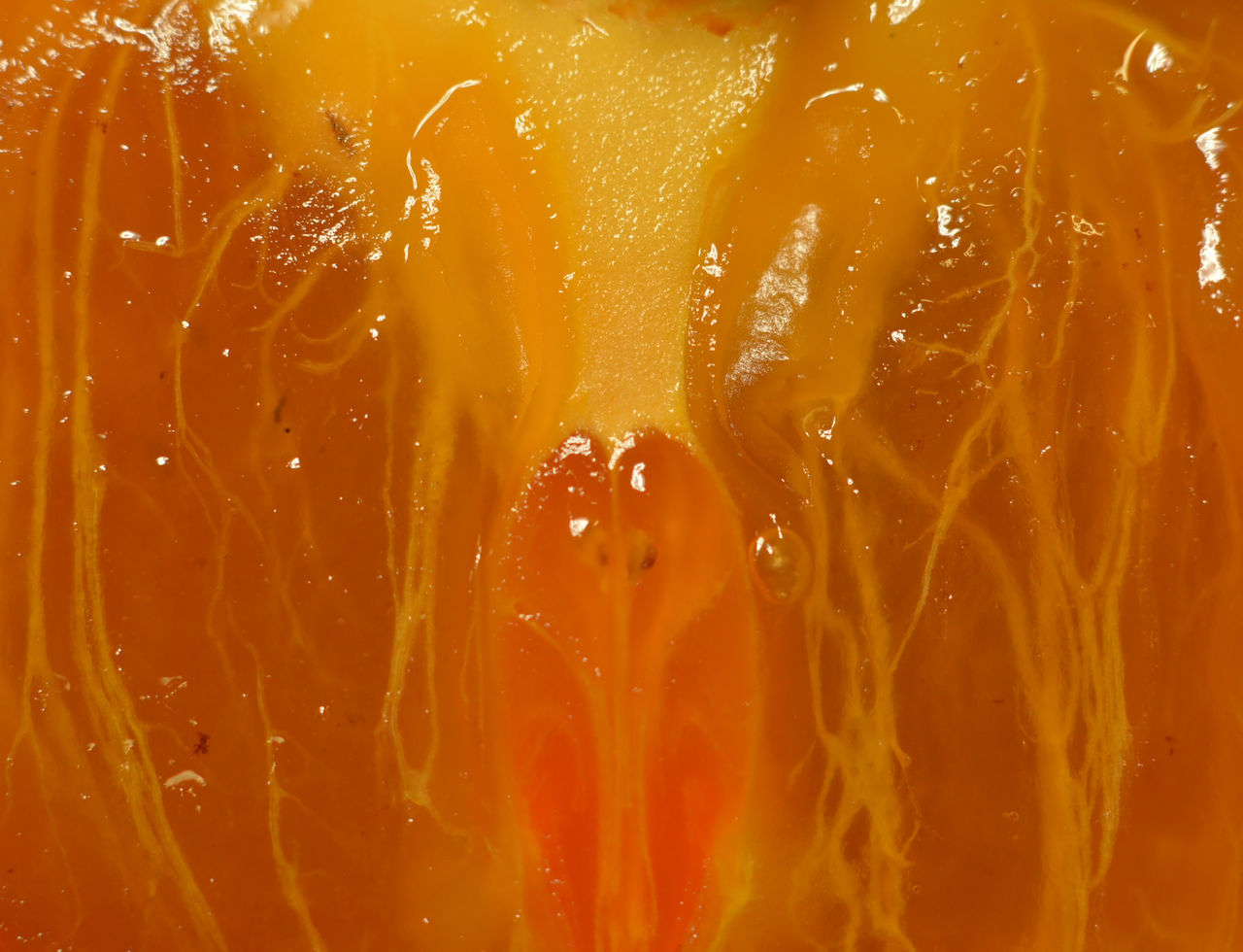 FULL FRAME SHOT OF ORANGE WATER