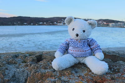 Toy on rock at shore against blue sky