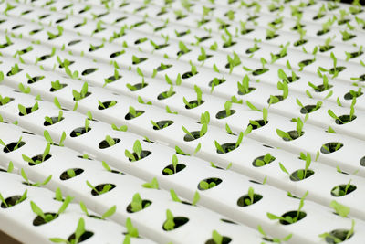 Full frame shot of white