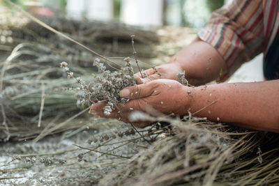 Midsection of man holding plant