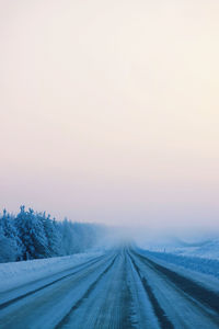 Road amidst trees against sky during winter