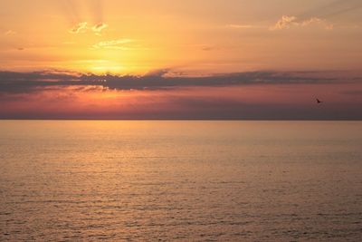 Scenic view of sea at sunset